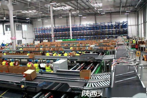 西安聯手阿里破解農產品倉儲物流難題，西北最大數字農業倉配體系正式啟用