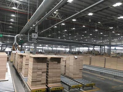 龍洋木業-金誠定力高拼板膠倉儲物流服務優勢與流程解析